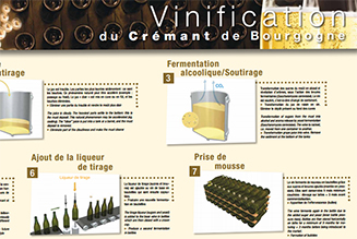Poster: Making Crémant de Bourgogne wines
