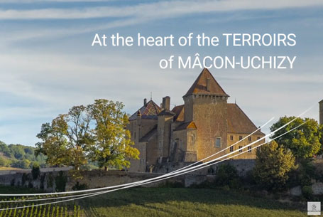heart of the terroirs of Mâcon Uchizy